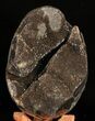 Septarian Dragon Egg Geode - Black Crystals #57459-1